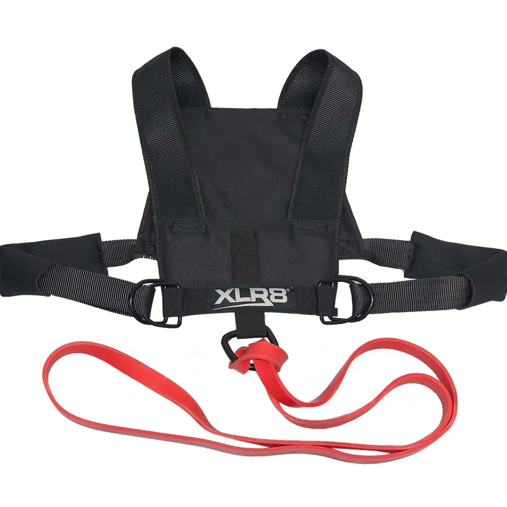 Godzilla Multi Power Harness